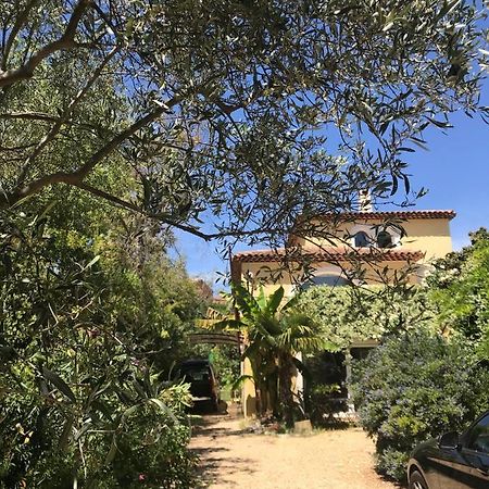 Ecrin De Verdure Avec Acces Piscine En Plein Aix Aix-en-Provence Eksteriør bilde