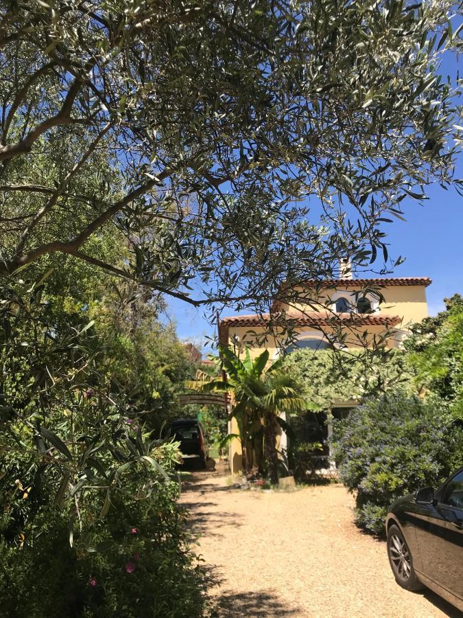 Ecrin De Verdure Avec Acces Piscine En Plein Aix Aix-en-Provence Eksteriør bilde